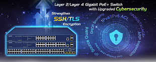 48-портовый управляемый коммутатор Planet GS-4210-48P4S